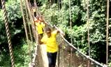 Excursion